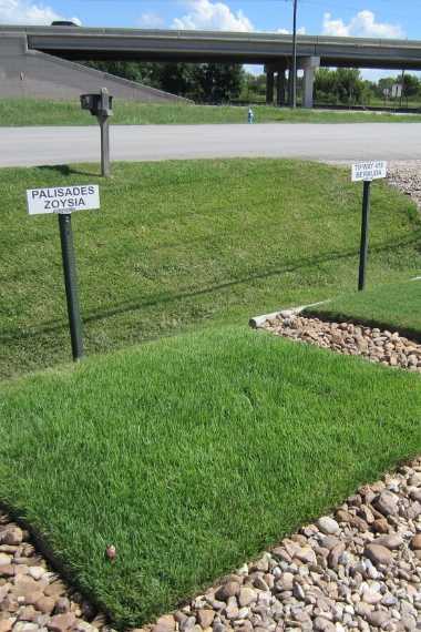 Houston Grass - High Quality Grass Sod For Houston Pearland Sugar Land