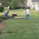 Laying Sod - Houston Grass South