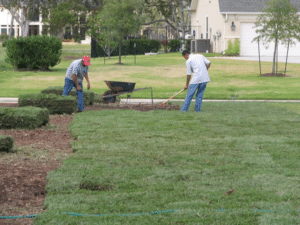 Installing Houston Grass Sod