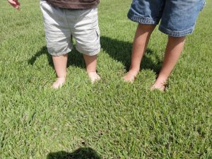 Barefoot turfgrass sod testing - Houston Grass South Texas