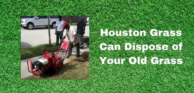 Disposing of Old Grass