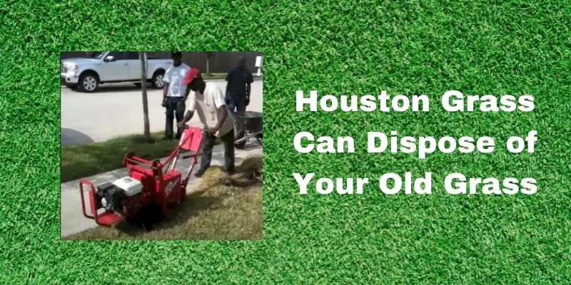 Disposing of Old Grass