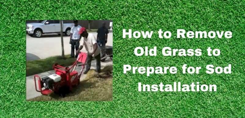 How to Remove Grass