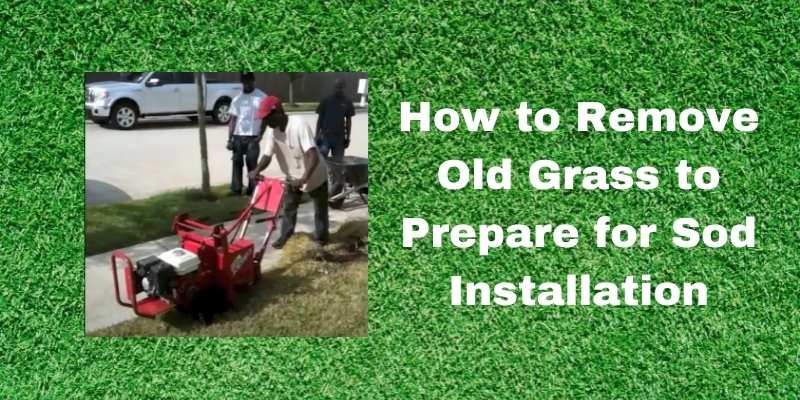 How to Remove Grass
