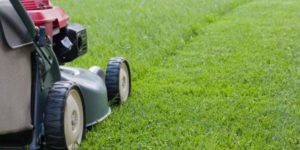 When to Mow New Sod Grass
