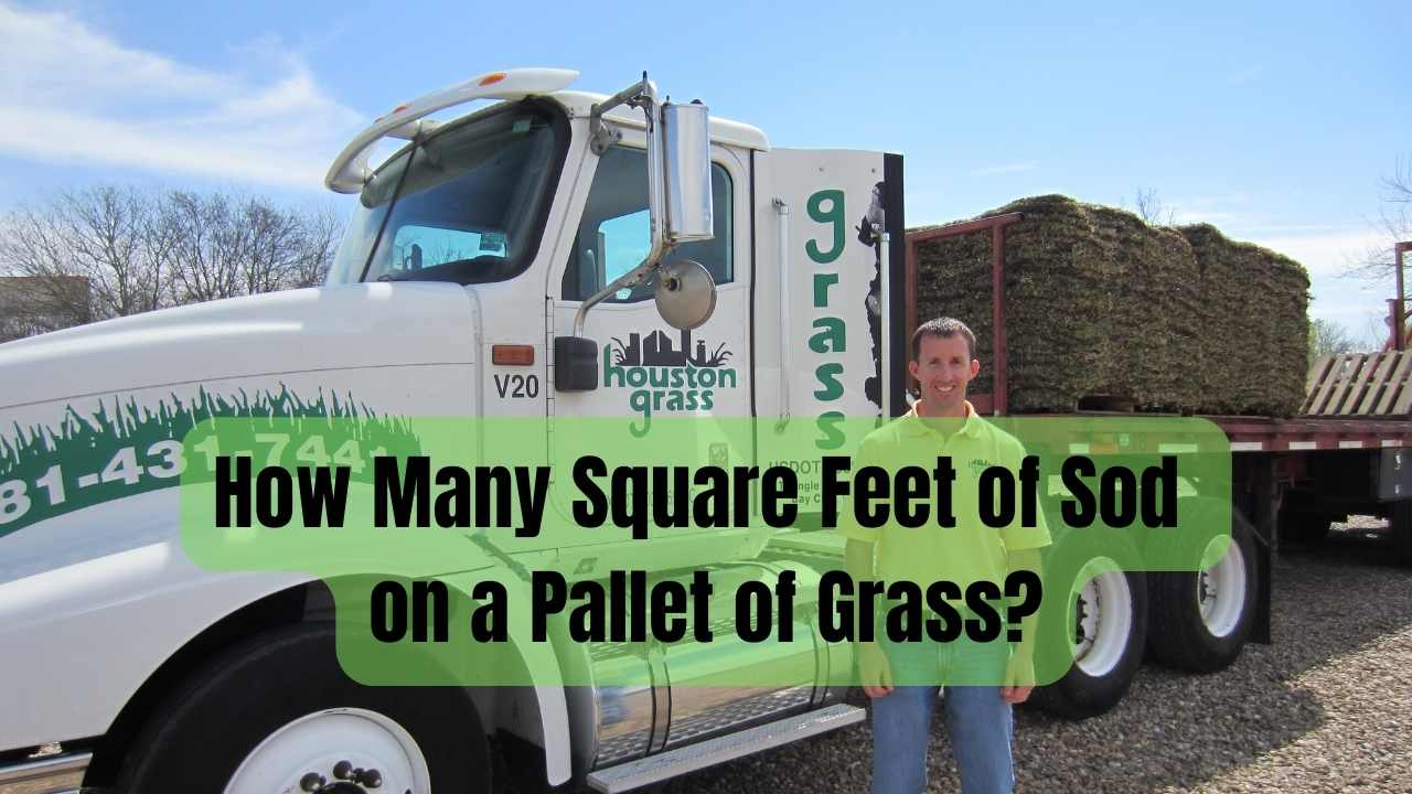 How Many Square Feet of Sod on a Pallet of Grass