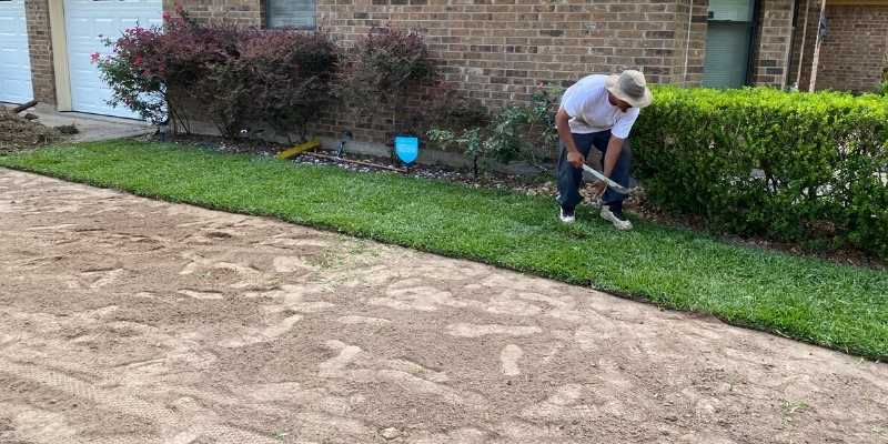 Do Not Lay Sod Over Existing Grass - Houston Grass