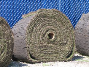 Large Bermuda Grass Sod Rolls - Houston Grass Sout