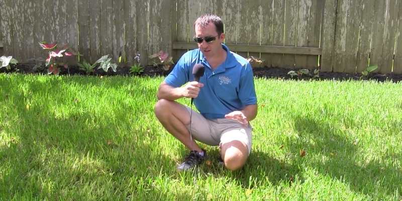 Sod Installation and Care Tips