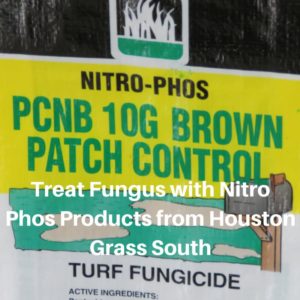 Treat Fungus with Nitro Phos Products from Houston Grass South