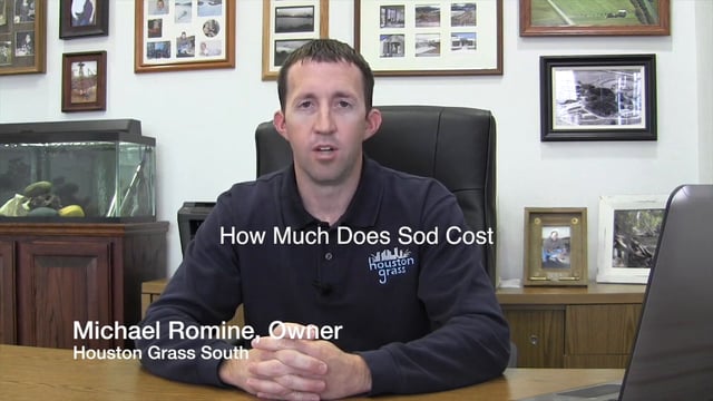 How Much Does Grass Sod Cost? Houston Sugar Land