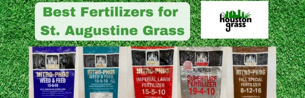 Best Fertilizers for St. Augustine Grass