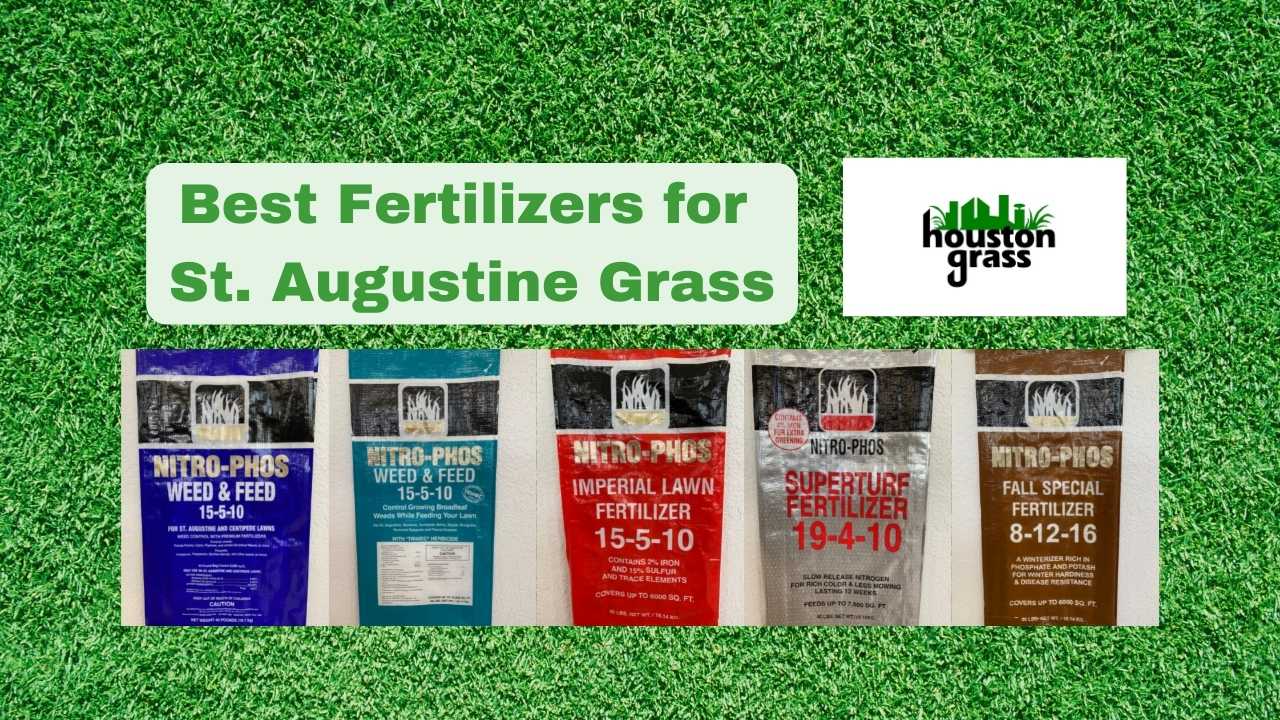 Best Fertilizers for St. Augustine Grass
