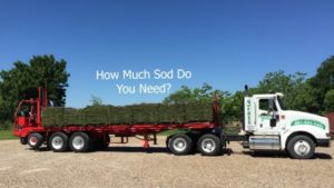 Calculating the amount of sod needed for your yard