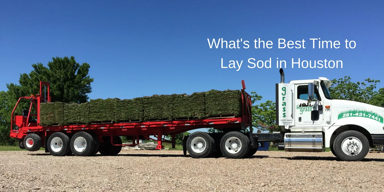 What's the best time to lay sod grass in Houston