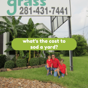 cost to sod yard