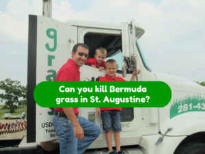 Can you kill Bermuda grass in St. Augustine