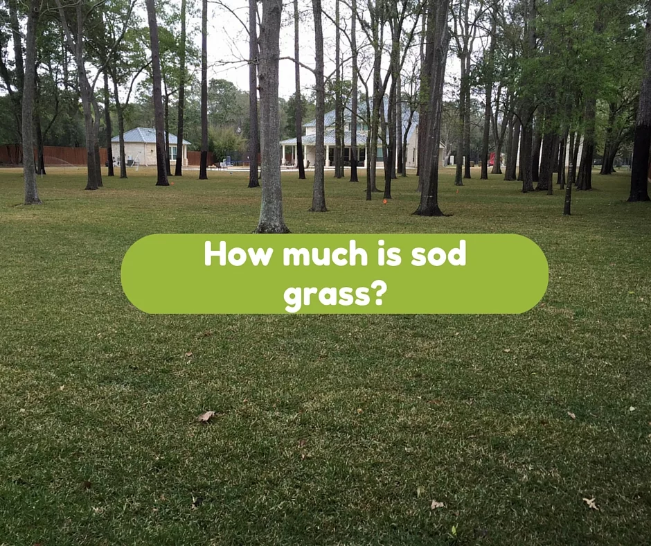 How much is sod grass at Houston Grass South