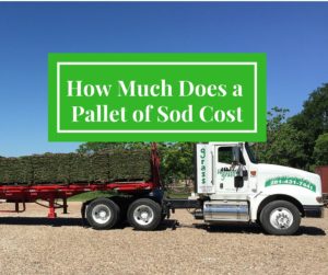 How Much Does a Pallet of Sod Cost