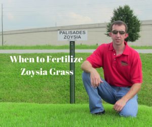 When to Fertilize Zoysia Grass
