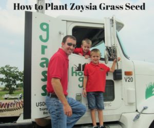 How to Plant Zoysia Grass Seed