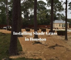 Installing Shade Grass in Houston