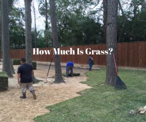 How Much Is Grass from Houston Grass South