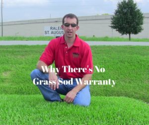 Why There's No Grass Sod Warranty