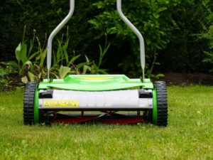 Reel Mower for Emerald Zoysia Grass Maintenance