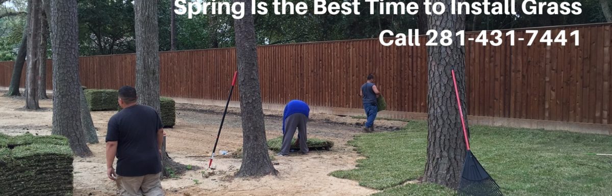 Spring is the Best Time to Install Grass Call 281-431-7441