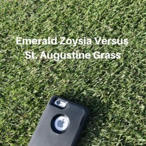 Emerald Zoysia Versus St. Augustine Grass