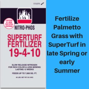 Fertilize Palmetto Grass with SuperTurf in late Spring or early Summer
