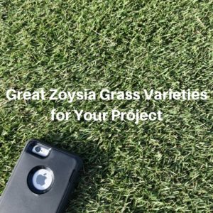 Great Zoysia Grass Varieties for Your Project