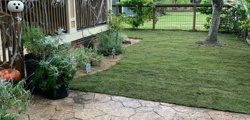 How Much Is Zoysia - Houston Grass