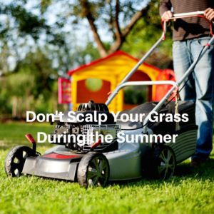 Don't Scalp Your Grass During the Summer