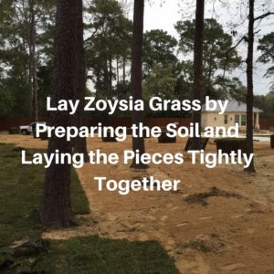 Lay Zoysia Grass by Preparing the Soil and Laying the Pieces Tightly Together