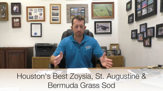Does Bermuda Grass Spread - Houston Grass Pearland Sugar Land TX