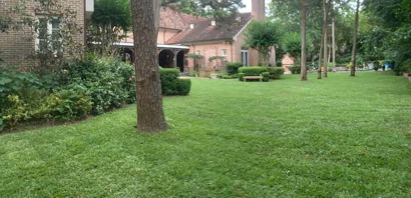 Average Cost to Install Grass Sod - Houston Grass
