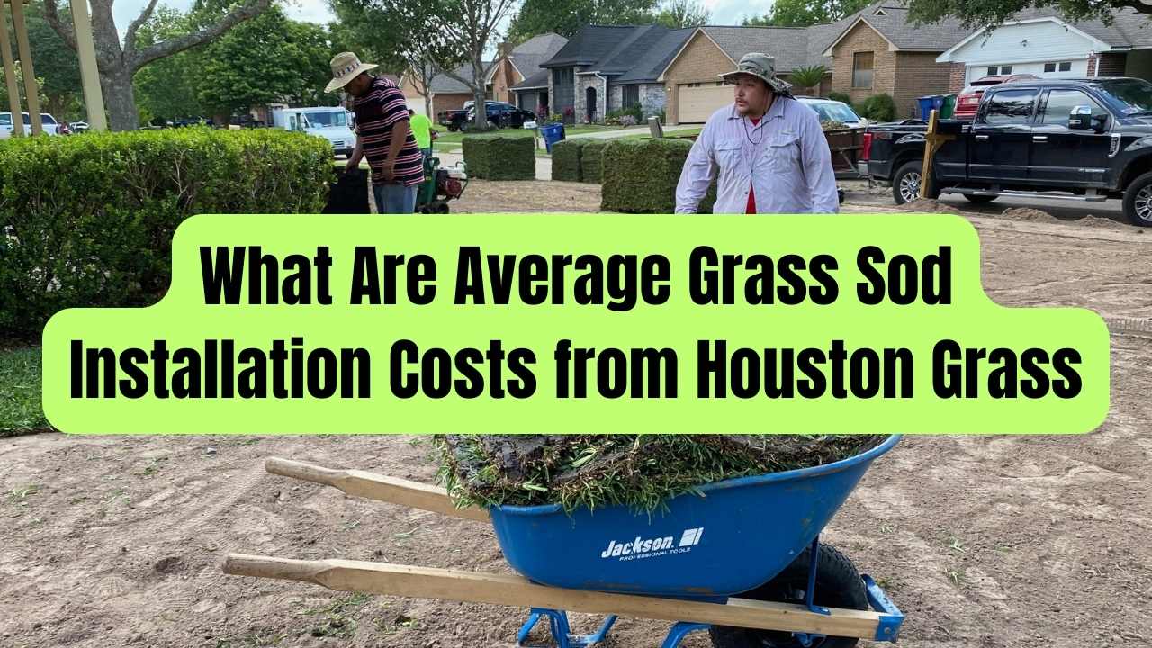 What Are Average Grass Sod Installation Costs from Houston Grass