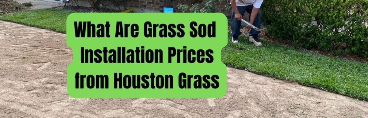 Average Cost to Install Grass Sod