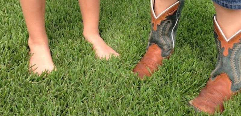Is Zoysia Grass Soft - Houston Grass