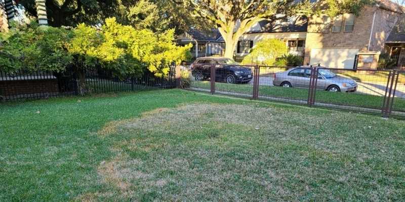 Brown Patch in a Houston Lawn