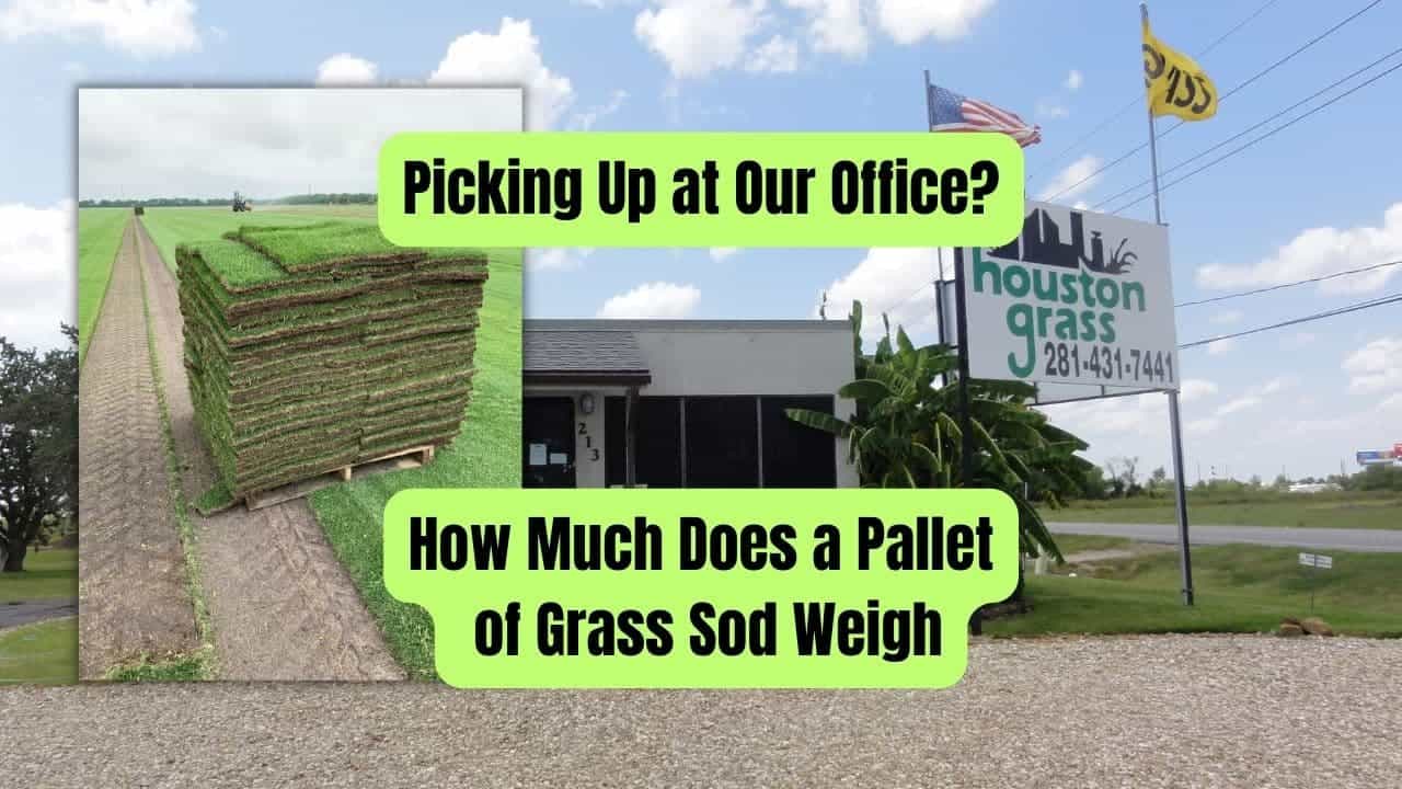 How Much Does a Pallet of Sod Weigh