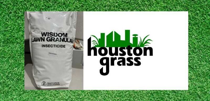 Wisdom Lawn Granular Insecticide - Houston Grass