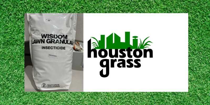 Wisdom Lawn Granular Insecticide - Houston Grass