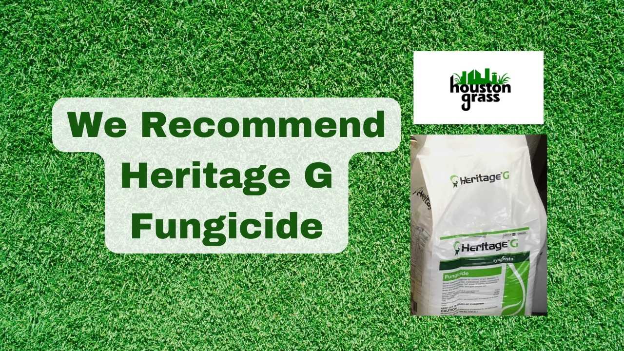 We Recommend Heritage G Fungicide