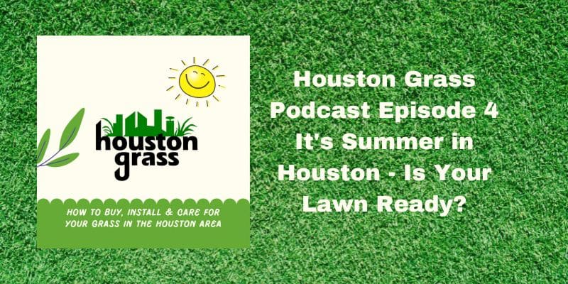 Houston Grass Podcast 4