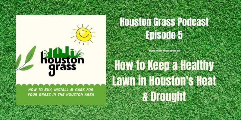 How to Keep a Healthy Lawn