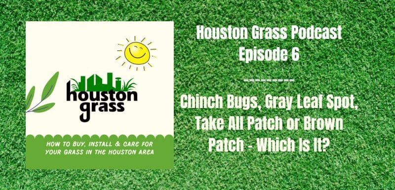 Houston Grass Podcast 6
