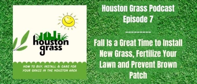 Fall is a great time to plant new grass